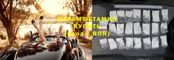сатива Белокуриха